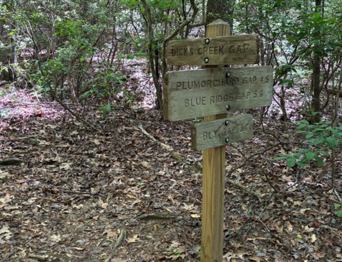 We Are On The Trail…