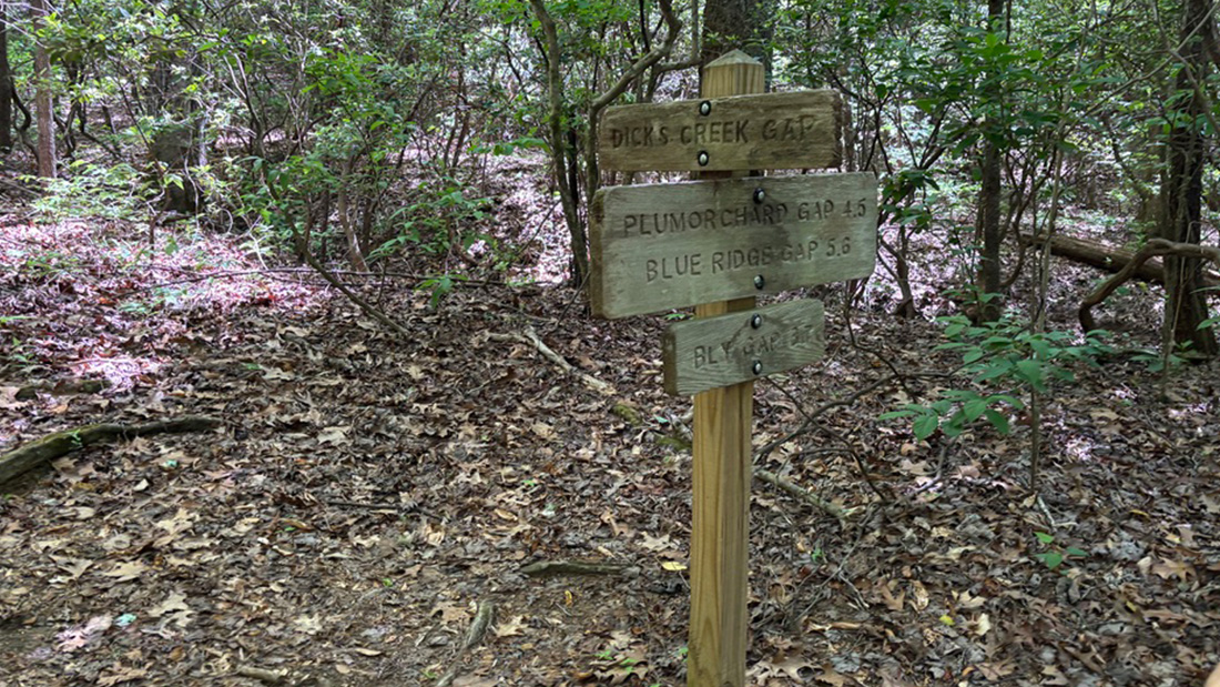 Wooden trail signpost standing tall on a leaf-covered forest path, guiding hikers toward Dick’s Creek Gap, Plumorchard Gap 4.5 miles, Blue Ridge Gap 5.6 miles, and Bly Gap 3.7 miles. Lush green Appalachian woodland surrounds the sign, inviting adventurers deeper into the wilderness.