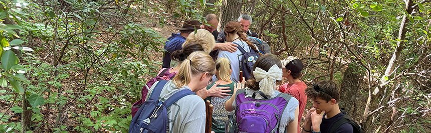 Group of hikers gathered closely on a forested trail during a Joshua Expeditions trip, experiencing revival in nature